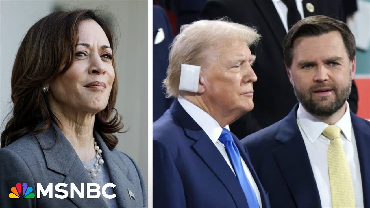 ‘Stunning’ that Trump campaign ‘didn’t have their act together’ as Harris picks up steam: analyst