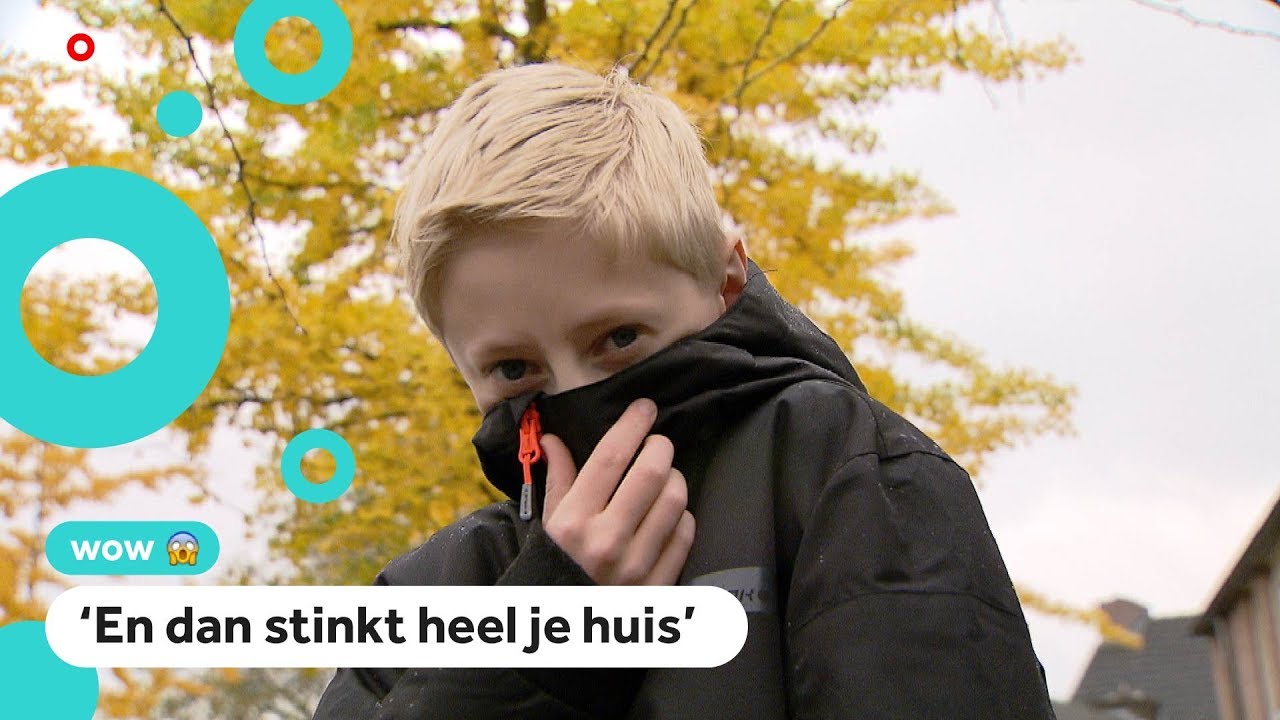 Bomen in Valkenswaard stinken naar poep 💩🌳