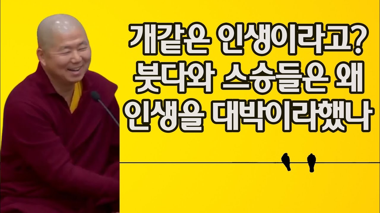 괴로움이 가져다준 유익함은 #용수스님 #용기 #세첸코리아