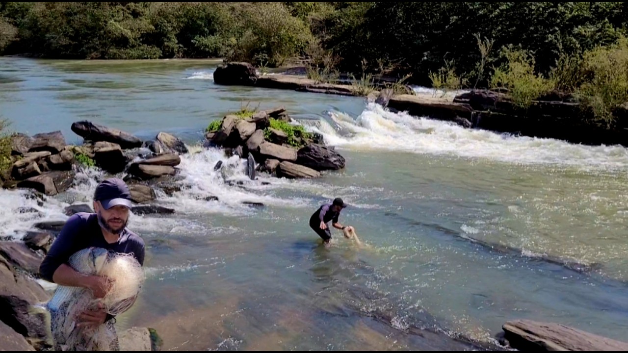 A tarrafa não aguenta mais os peixes desse rio... #peixefrito 🔥