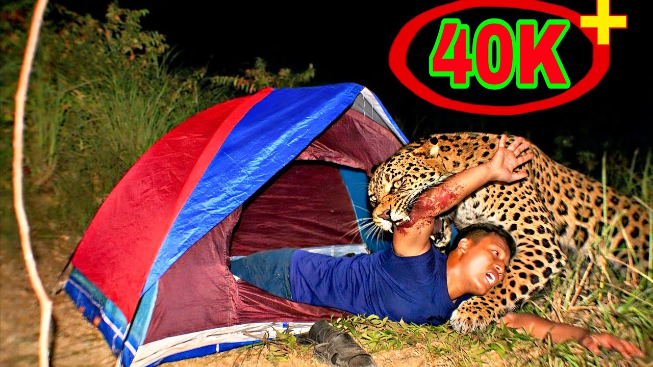 Lepord Attack in My Camp || Night Camping in India Forest || Dangerous Night Camping 🏕️🏕️