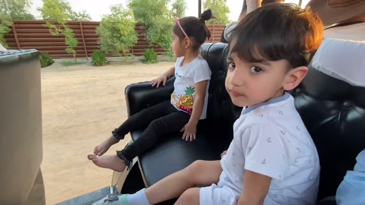 Albohayra Farm, Abdali. البحيرة الزرقاء العبدلي