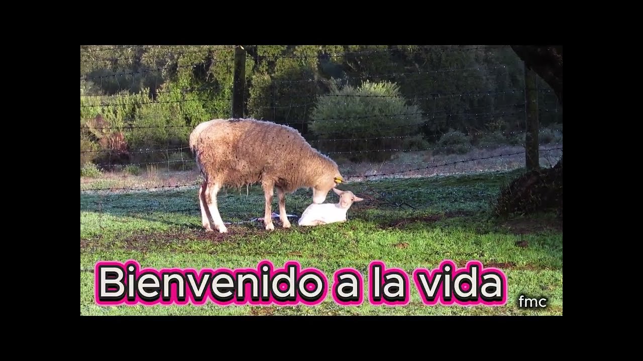 Bienvenido/a  a la  vida. Tras  el temporal  posiblemente  no  podía  haber escogido mejor  momento.