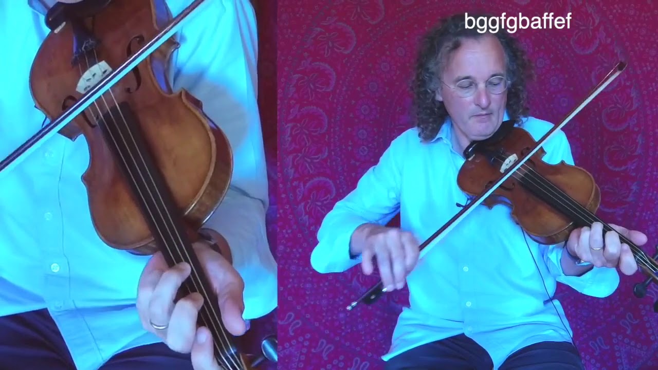 Martin Hayes - The Maghera Mountain - Lesson #8