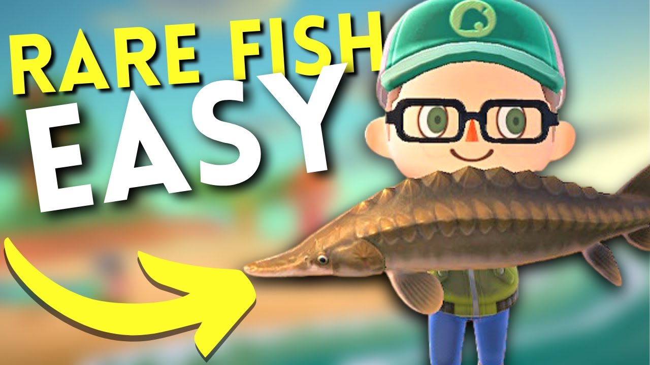 How To Catch RARE FISH EASY in Animal Crossing New Horizons 2.0 | ACNH Fishing Tip