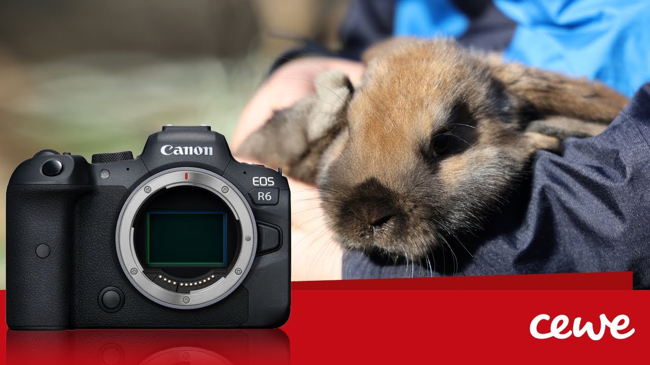 Canon EOS R6 - recenzia