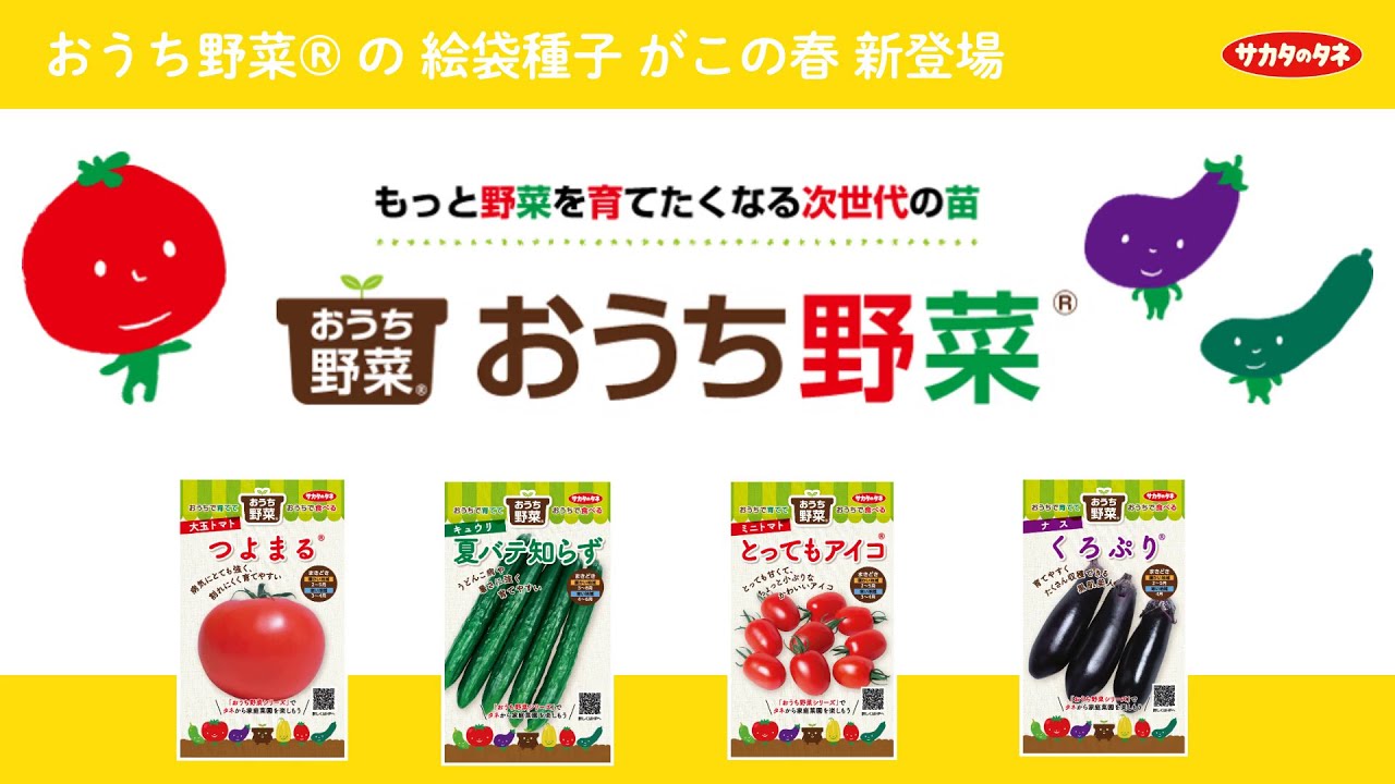おとなも子ども楽しめる！「 おうち野菜® 絵袋 」