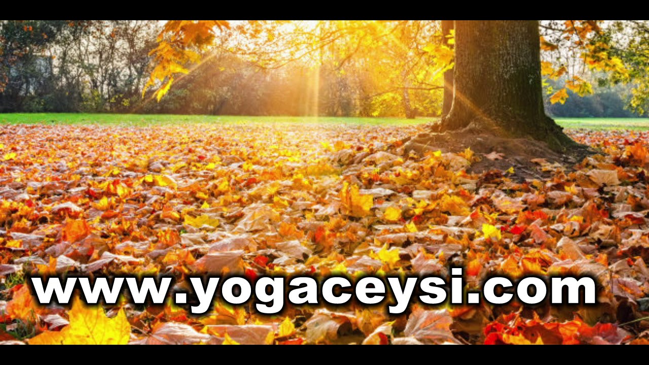 RELAJACION  DE OTOÑO  CON MOTIVACIÓN AL CAMBIO POSITIVO. Prof. SANTIAGO PAZHIN