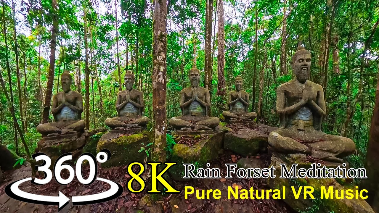 360° VR Rainforest Meditation | Hidden Buddha in Sinharaja | Deep Forest Ambience (Use Headphones)