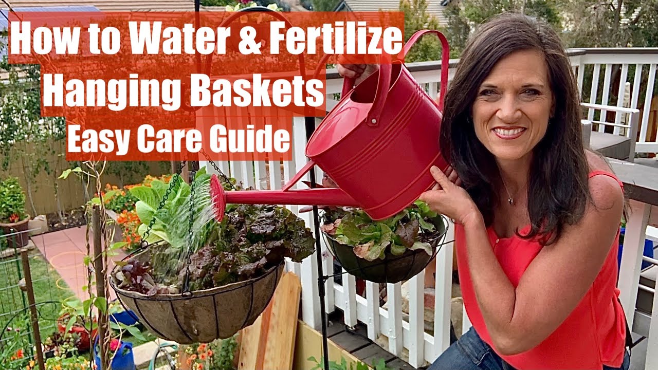 How to Water and Fertilize Hanging Baskets - Easy Care Guide