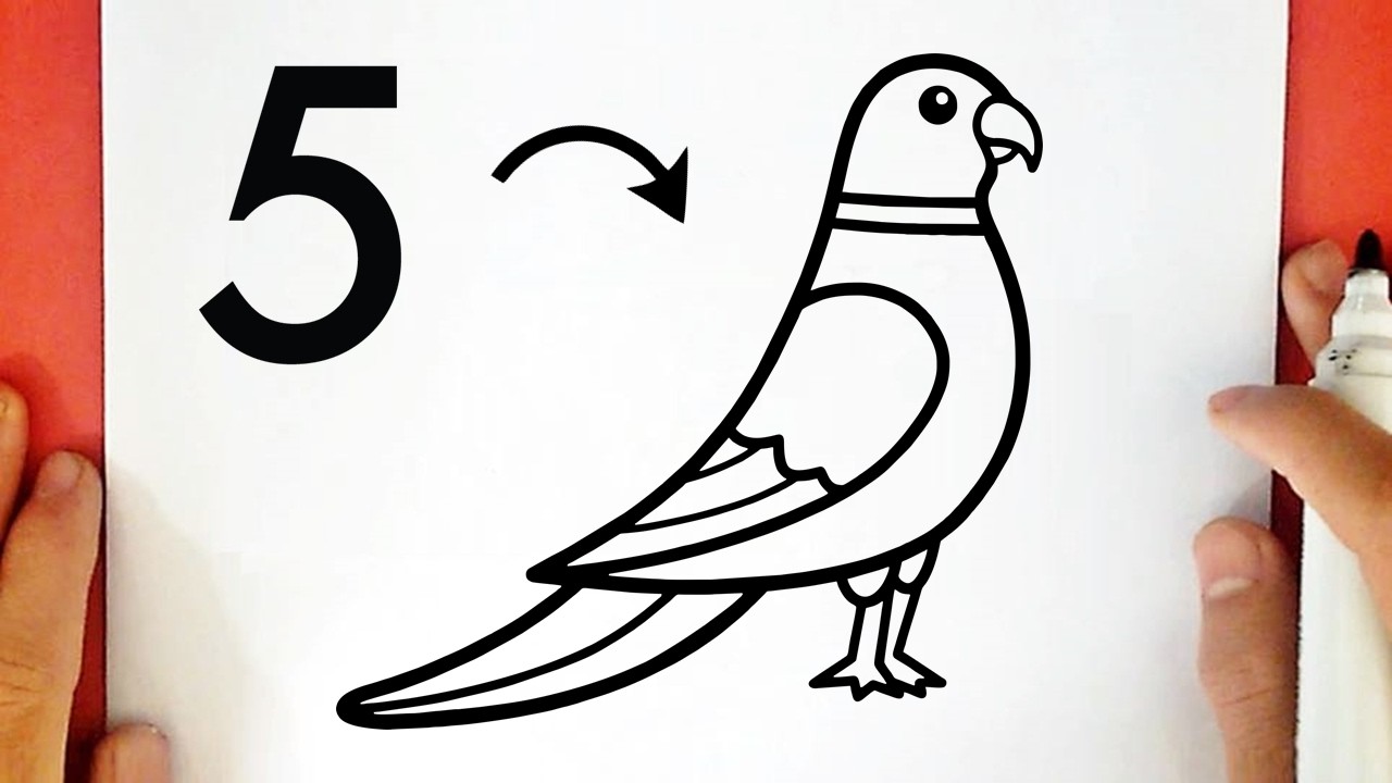 Come disegnare un PAPPAGALLO con il NUMERO 5