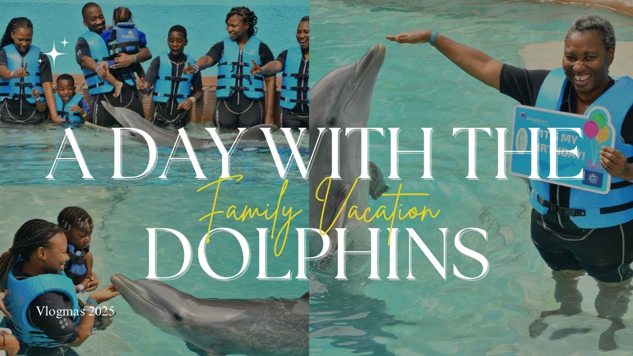 We swam with dolphins | Activities to do in Cancun #vlogmas2025 