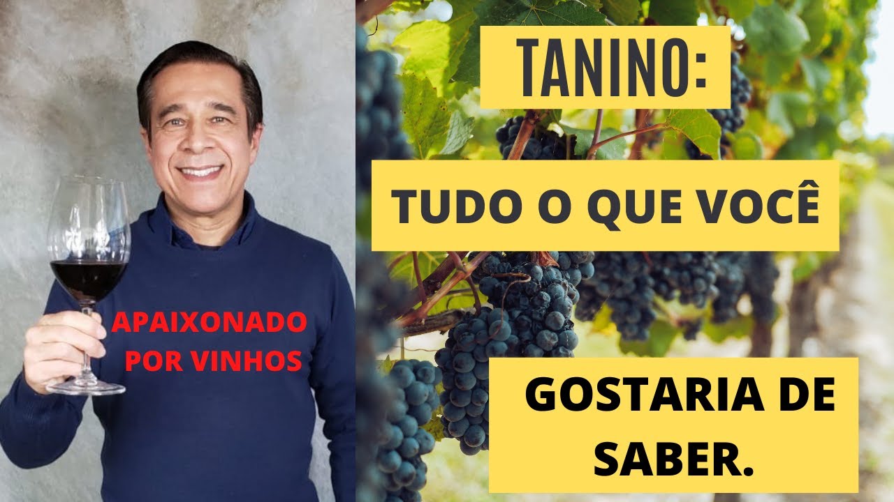 O TANINO DO VINHO:  o que é, como identificar na boca e avaliar a sua qualidade.