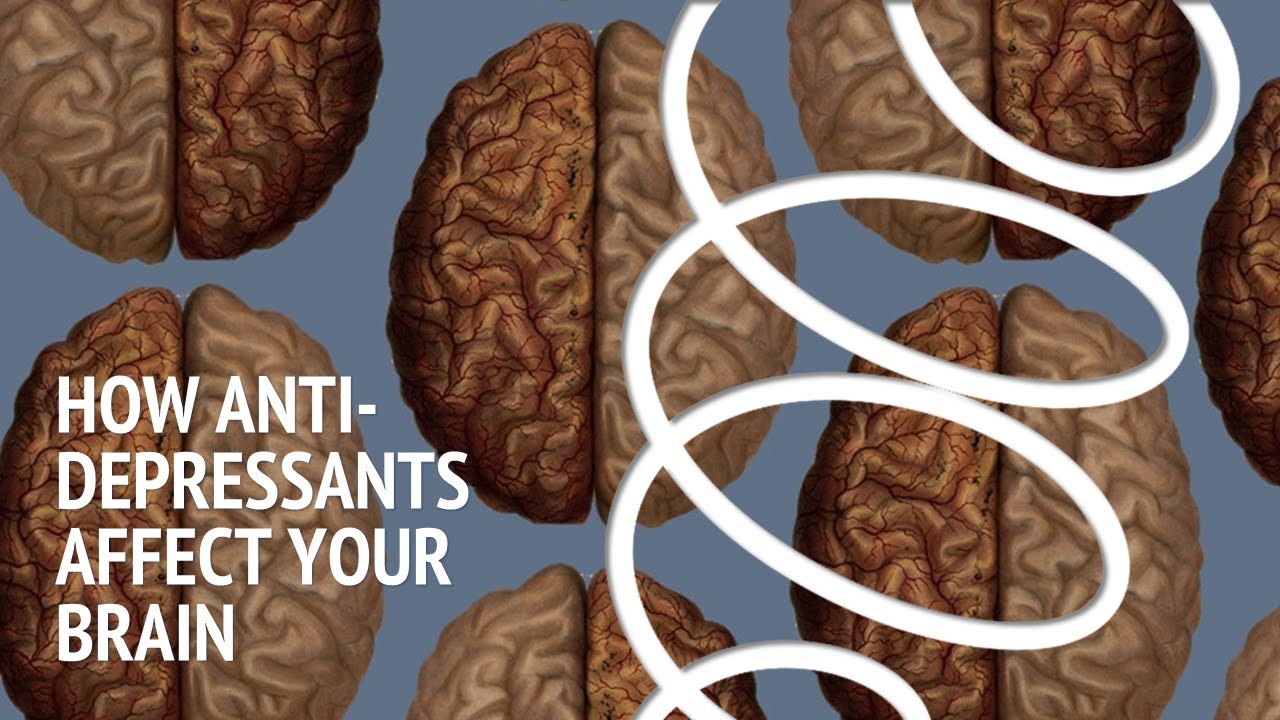 How antidepressants affect your brain