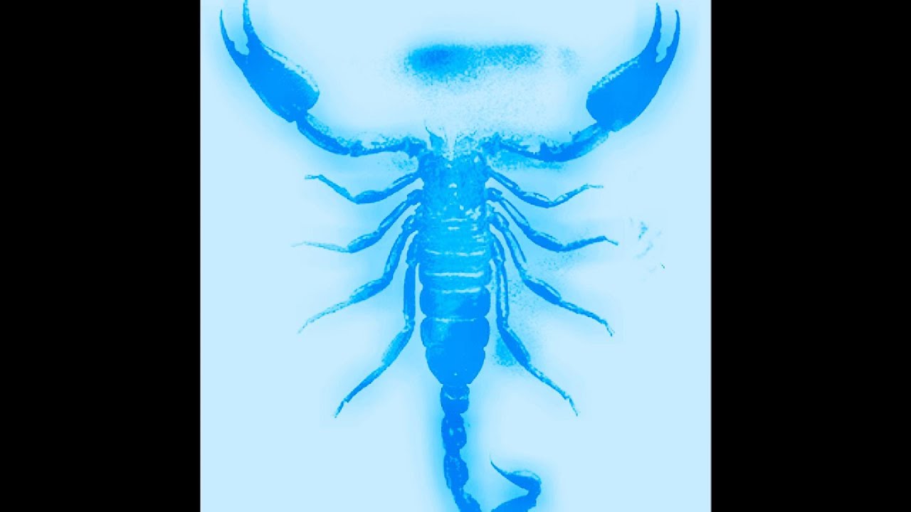 [FREE] JHAYCO & BAD BUNNY - TAROT REGGAETON TYPE BEAT