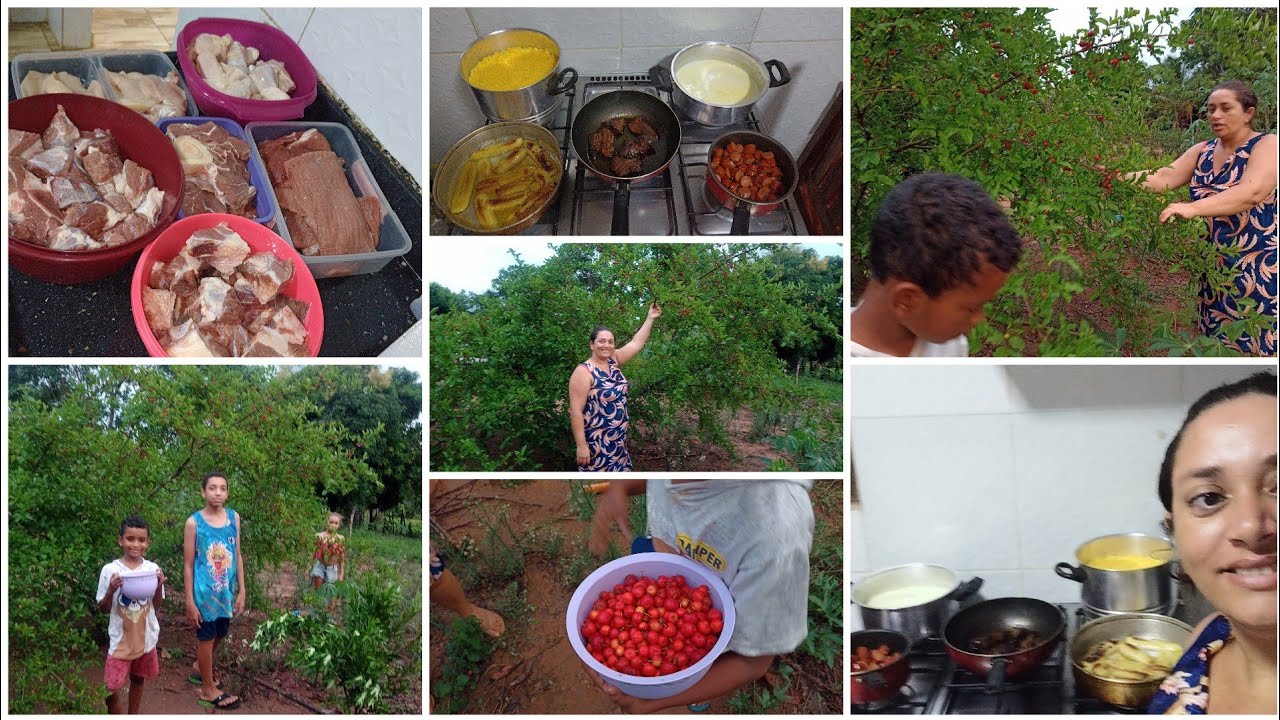 TARDE DE DOMINGO COM MUITA CHUVA COLHEMOS ACEROLA E CORTANDO AS CARNES DA SEMANA E FIZ MINHA JANTA