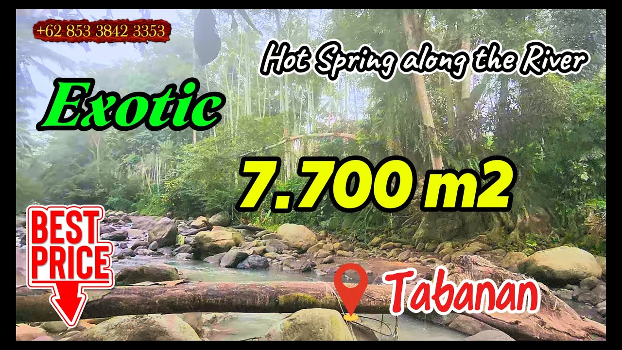 𝐿𝒶𝓃𝑔𝓀𝒶 🎀 Tanah view Jungle tepi sungai dijual Murah di Tabanan Bali Land Sale w/ Hot Spring TJTB896