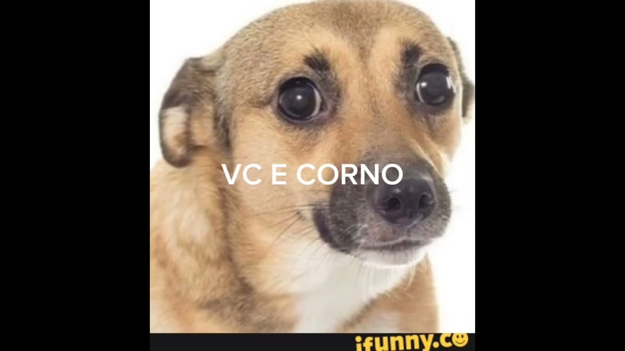 SHITPOST COMPILADO