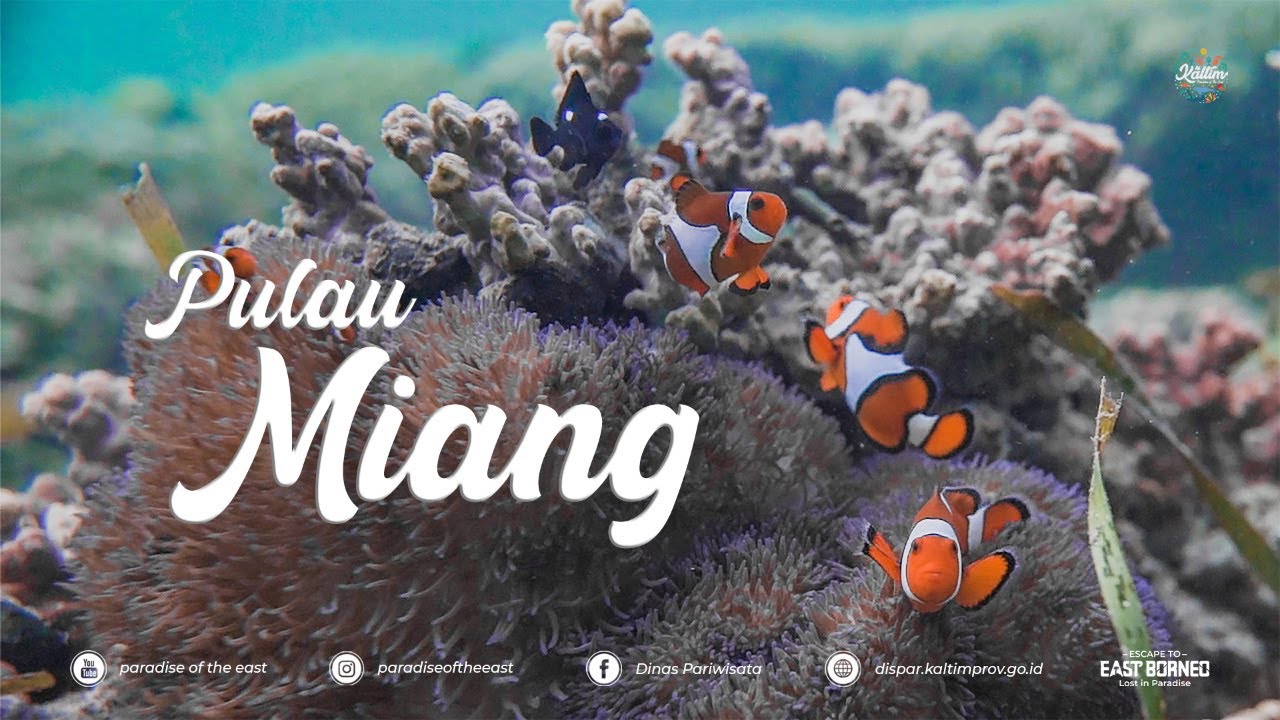 Paradise Of The East The Series - Pulau Miang Kab. Kutai Timur Kalimantan Timur #02