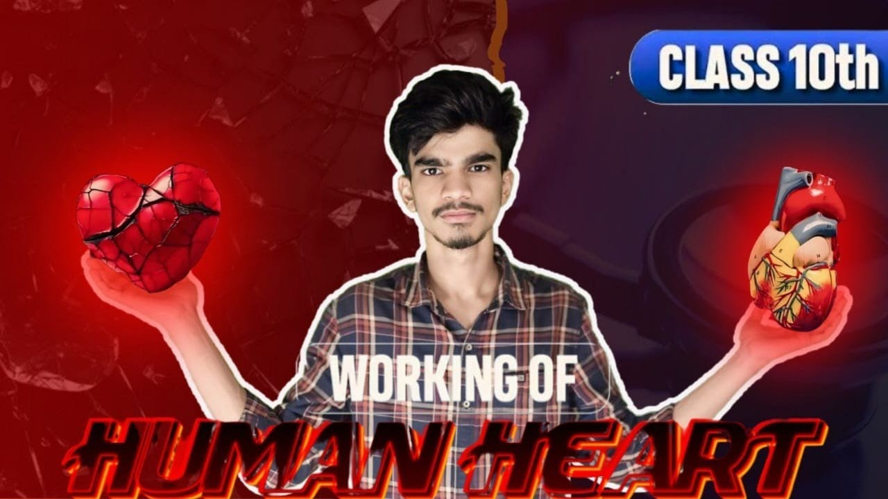 Working of Human Heart 🔥| Life processes Class 10 | human heart kaise kaam krta h ? shahid Sheikh