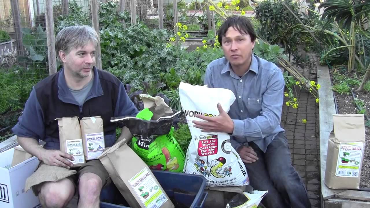 How to Amend the Soil in Your Organic Garden