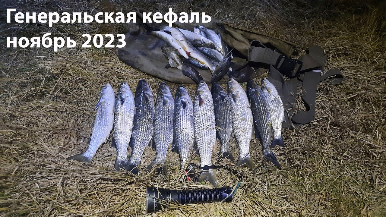 Генеральская кефаль ноябрь 2023 подводная охота 2023 охота на лобана, охота на кефаль, ночная охота