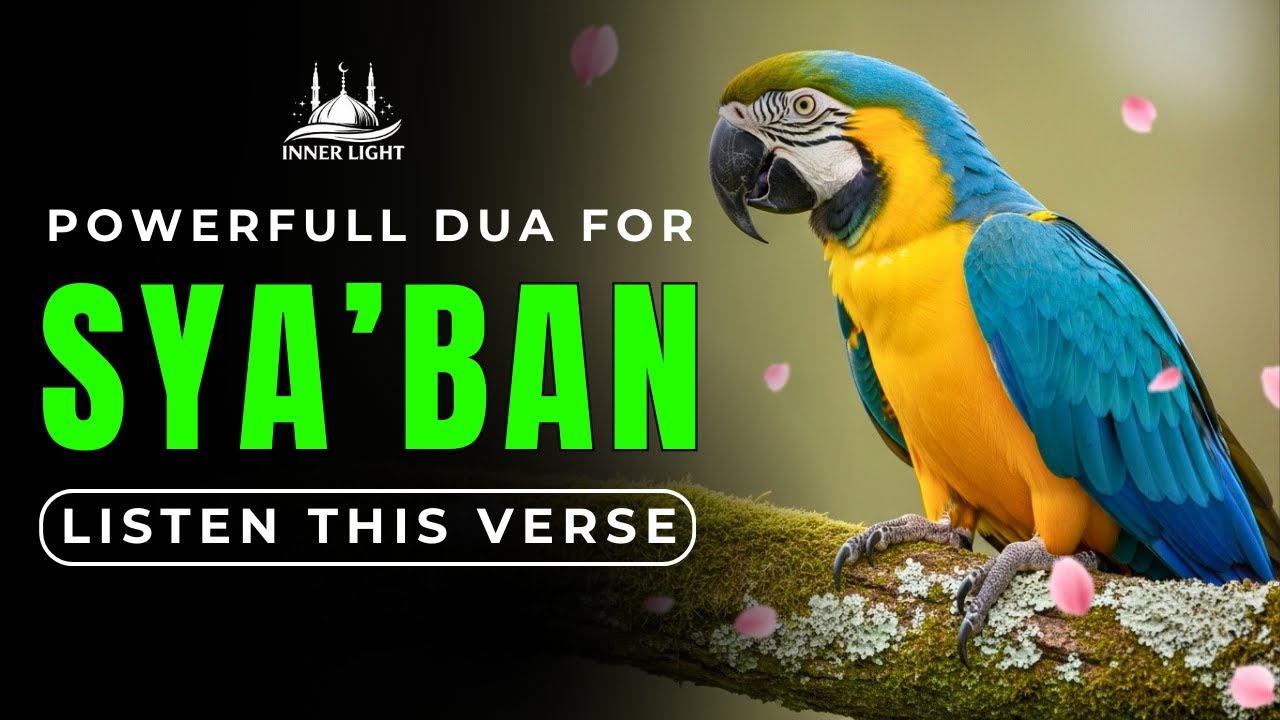 LISTEN TO THIS POWERFUL DUA | A SOURCE OF RELIEF FROM BIG PROBLEMS, INSHA ALLAH