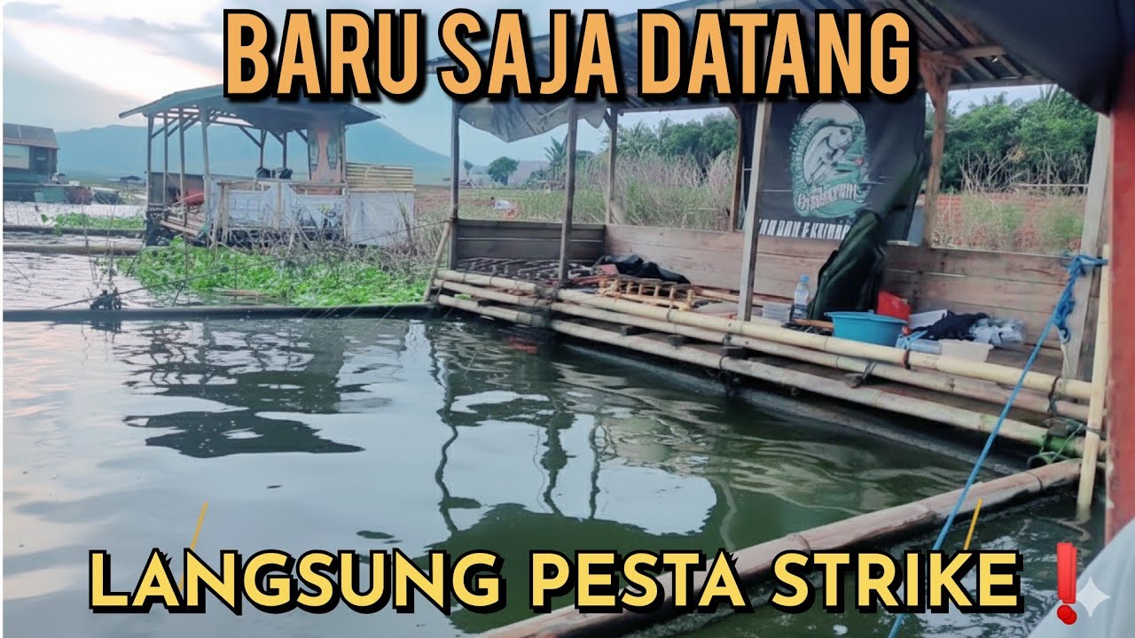 Ganas ❗❗❗ Serangan Ikan Nila di Spot Ini 😱 Mancing Cirata Terbaru 2025