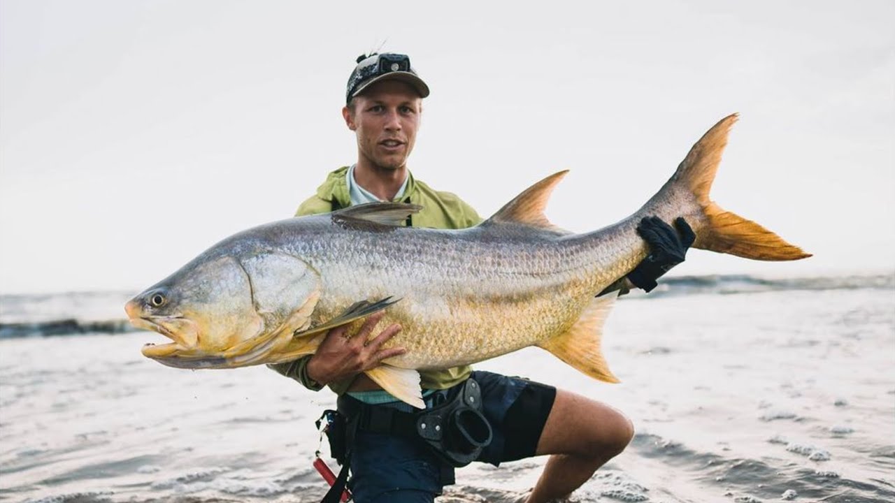 Sette Cama Gabon - Where African Wildlife and Sport Fishing Dreams Converge