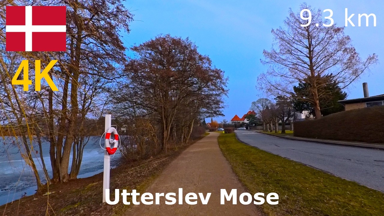 Virtual Run (4K) | Utterslev Mose | 9.3 km | Sunny Afternoon Run