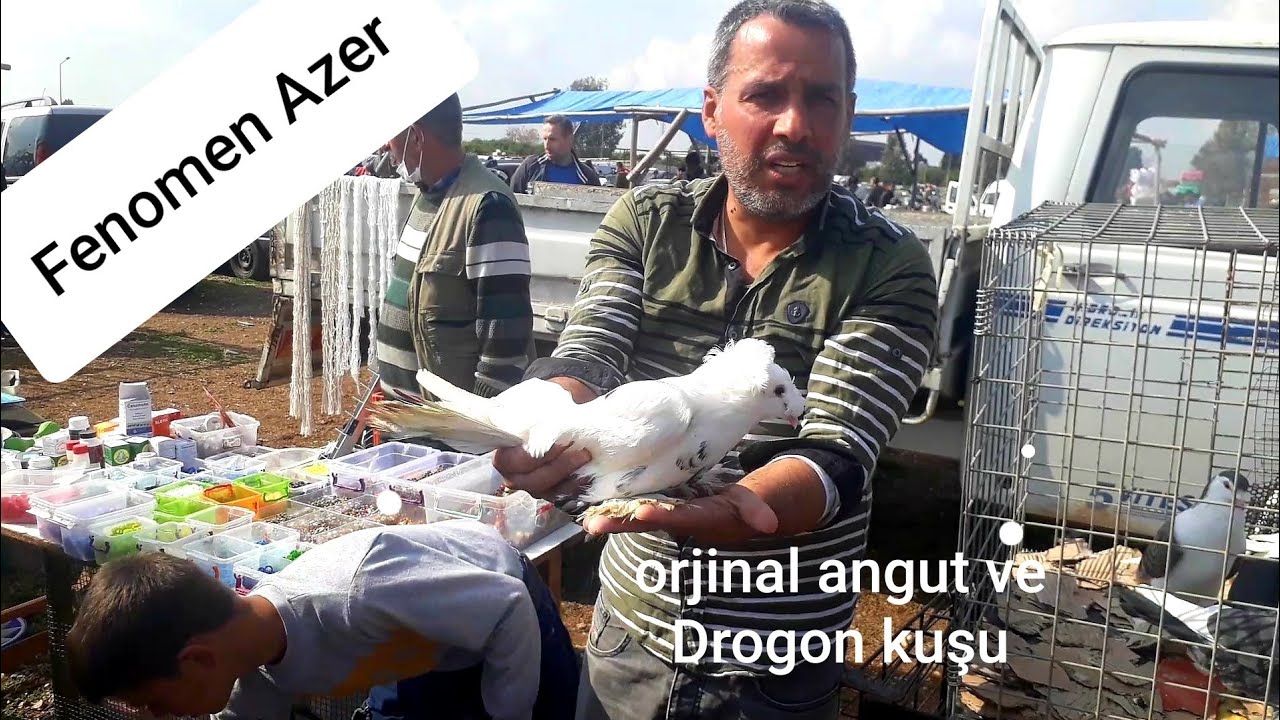 ADANA KUŞ PAZARI