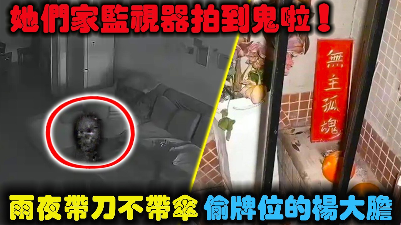 自稱是正義博主，結果卻缺德到家！&mdash;&mdash;超怪影片.V299 |  #午夜 #MiDnight