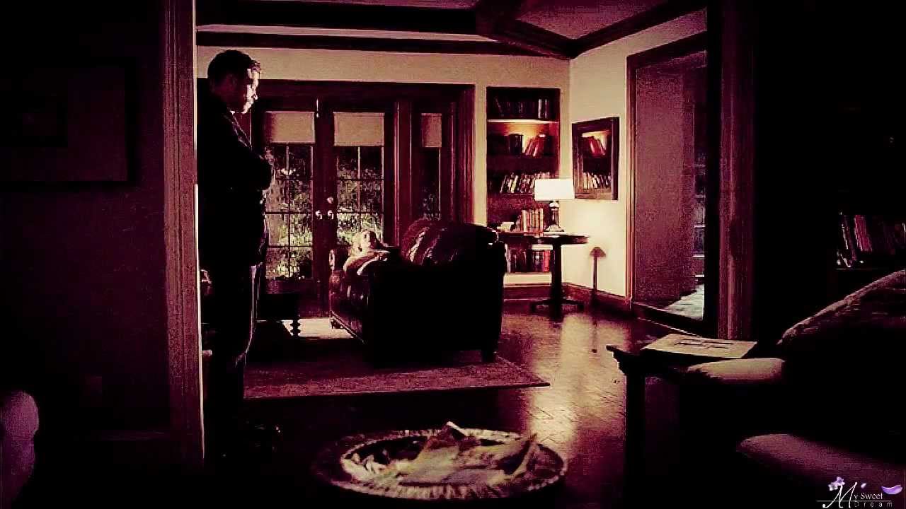 Klaus + Caroline || I n m y v e i n s