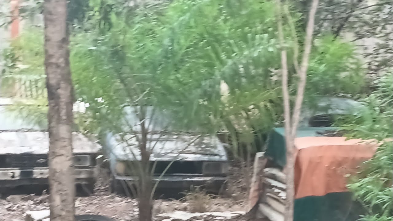 CEMITÉRIO 🪦 DE CARAVAN, OPALA VENDIDO PRA UM INSCRITO, VC COMPRARIA??