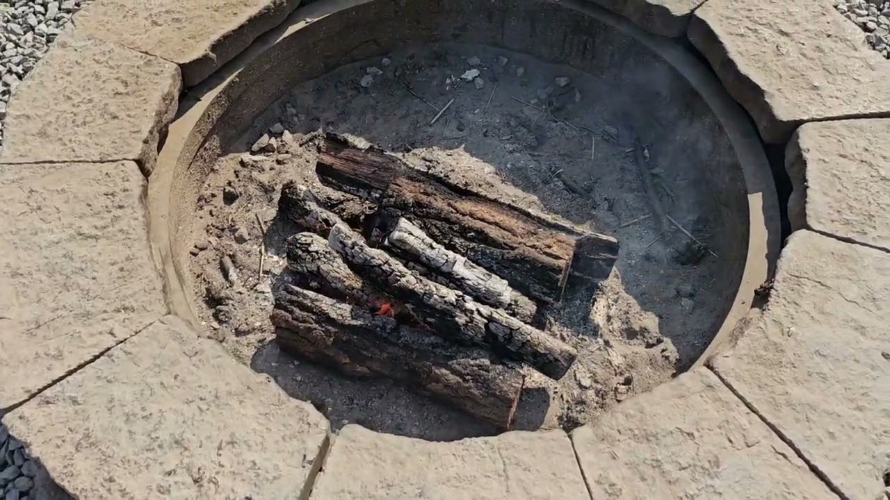 용인! 자작나무숲~