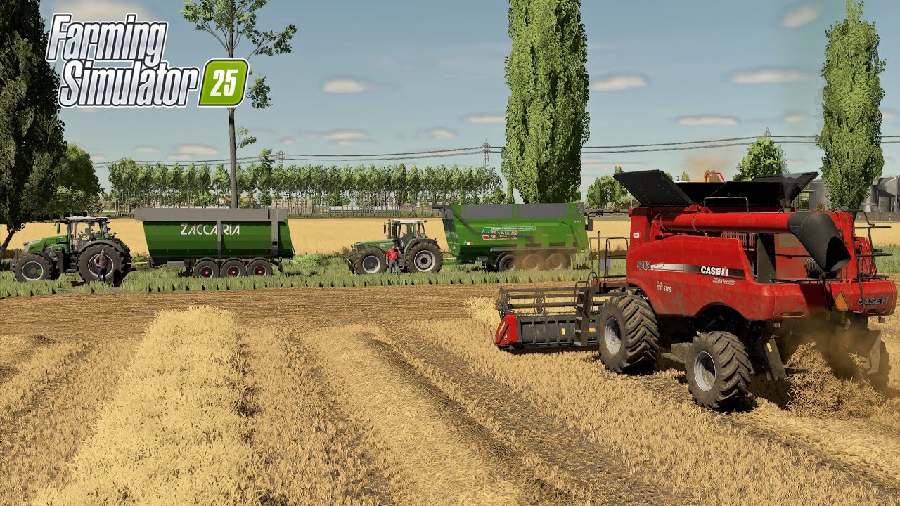 Wheat harvest with Case AF 6088 | FS25 gameplay |