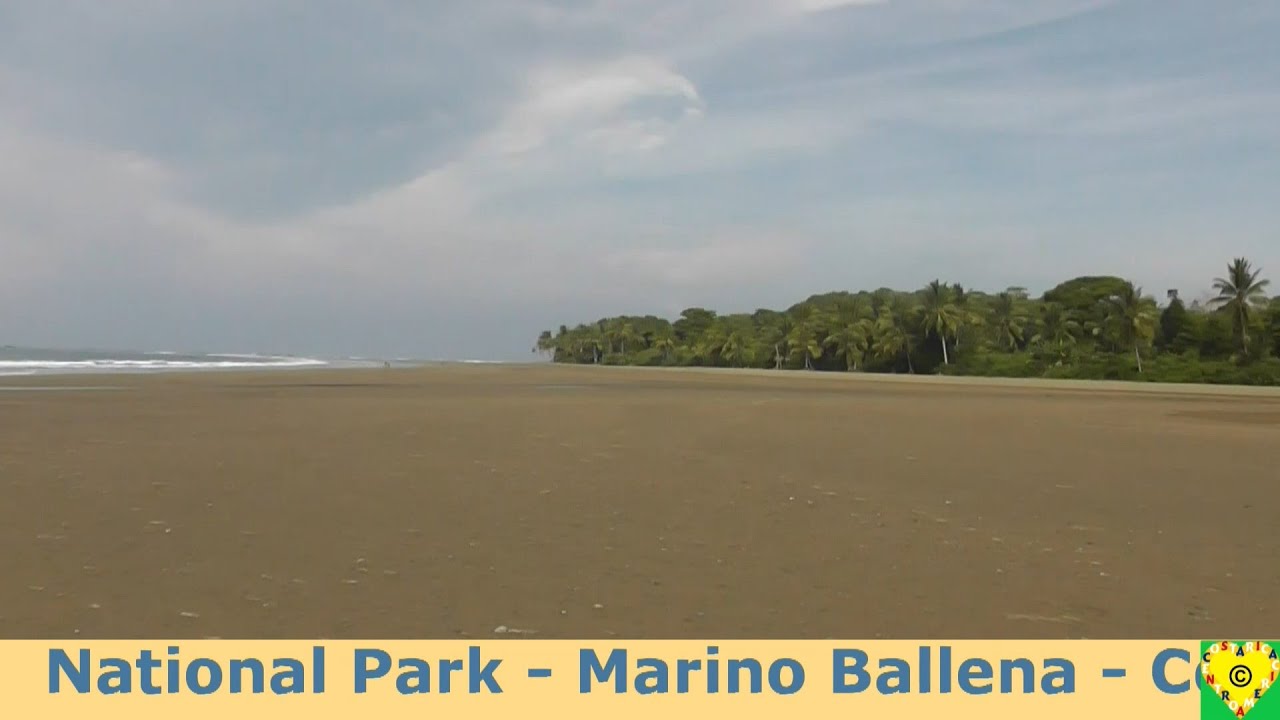 National Park Marino Ballena Costa Rica