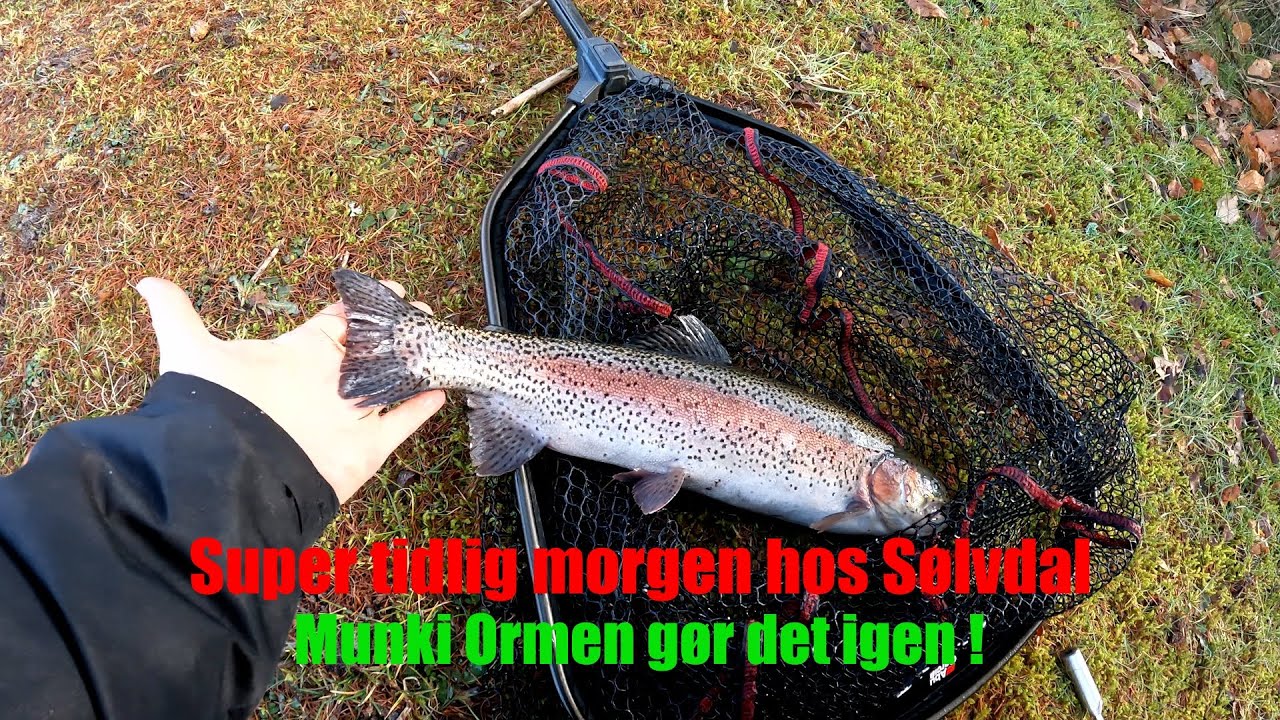 Munkiorm testes i Sølvdal her tæt på sæsonåbning 💪