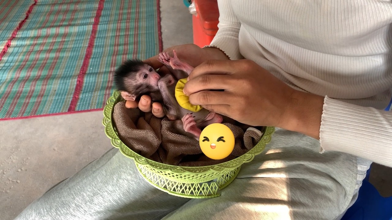 Mother tri to use traditional to hlp po0r BB On her small Belly