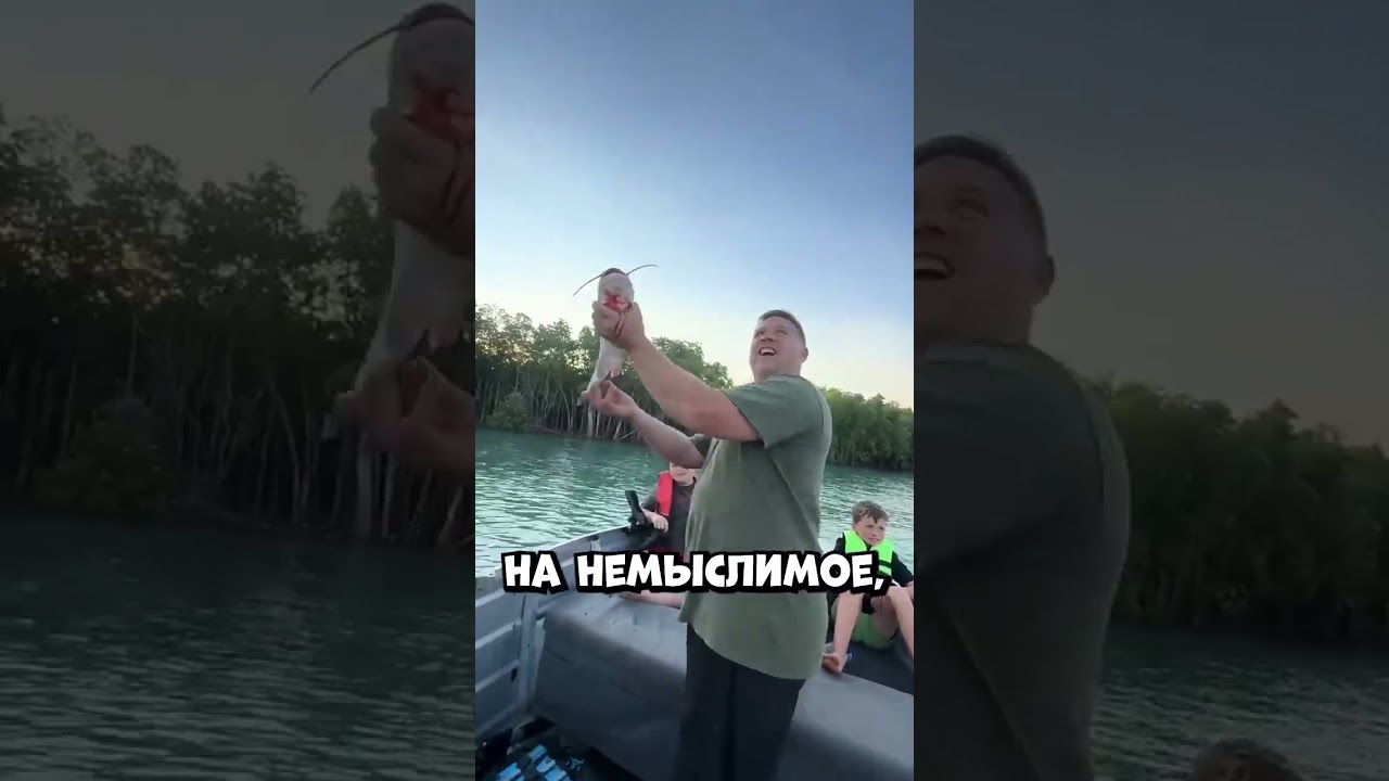 Подарил рыбу птице