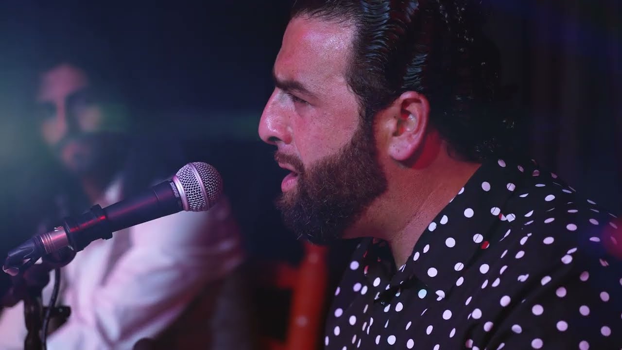 Tablao flamenco Granada - Espect&aacute;culo diario en el centro de Granada - La Albore&aacute;