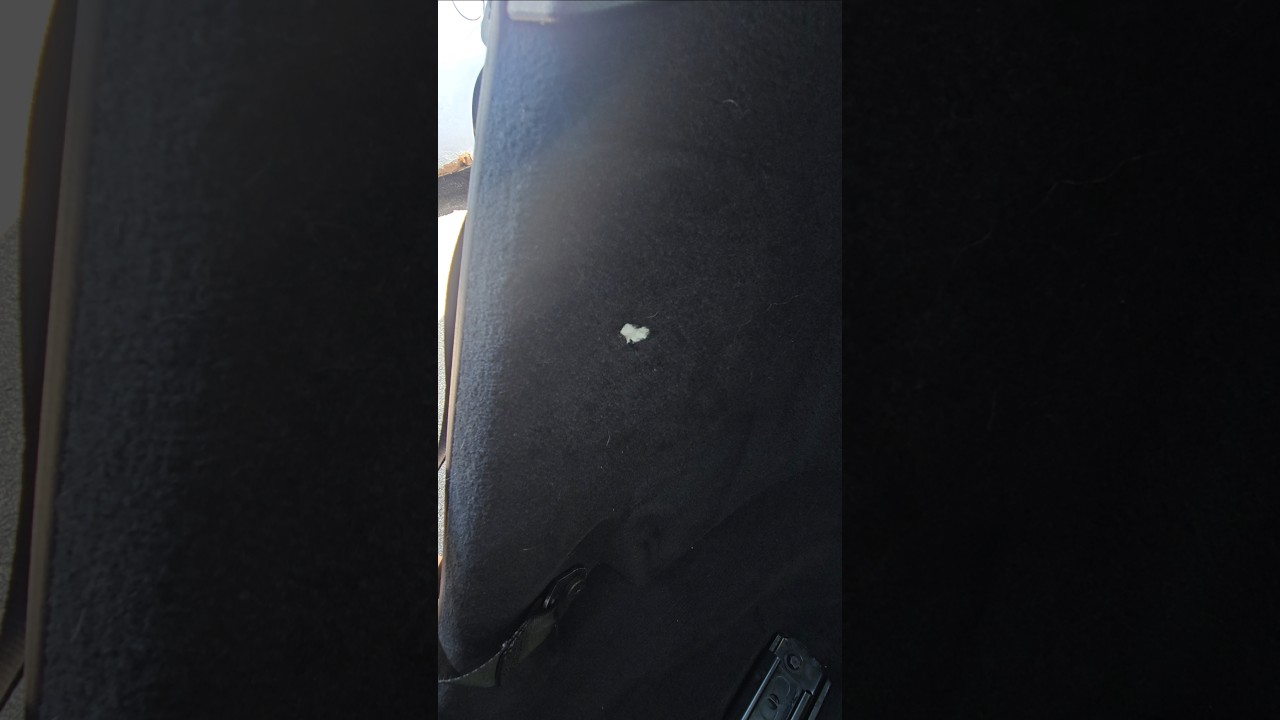 Pro tip! Carpet burn repair 