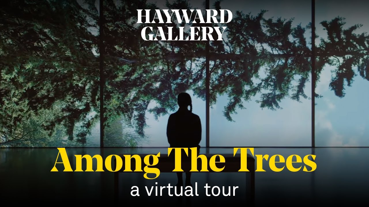Among the Trees: a virtual tour