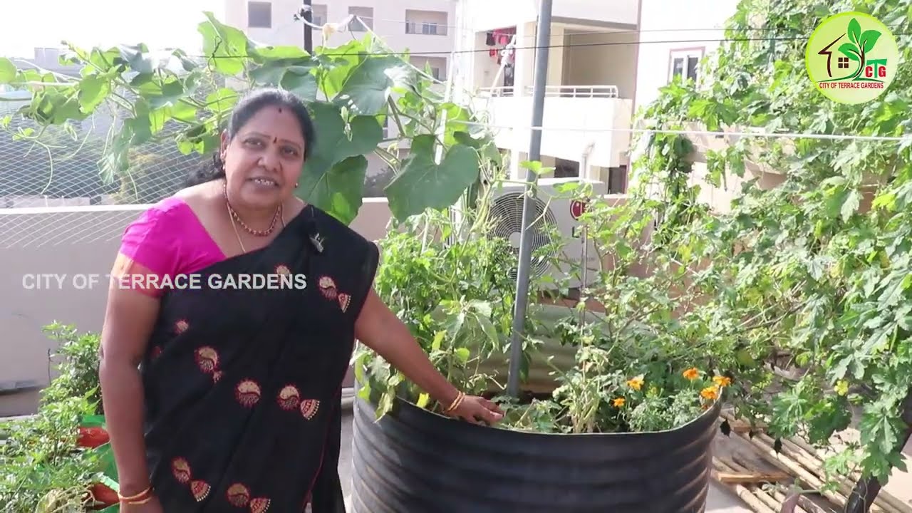 See a Blissful Terrace Garden with 500 Plants& hear gardening experiences||CITY OF TERRACE GARDENSti