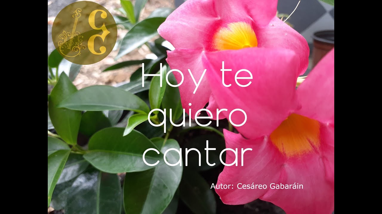 Hoy te quiero cantar / Cesáreo Gabaráin