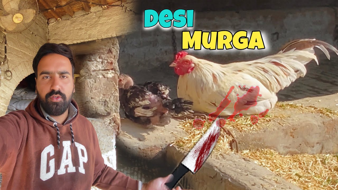 Desi Murga Zibah Karwa Liya 🐓🔪 | Pure Desi Food