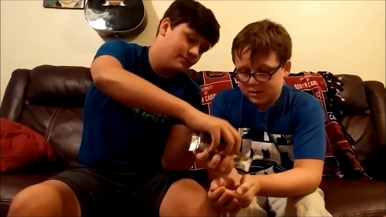 The Rumfelt Broz Try Munchbox mini, Liam Lost a tooth!!