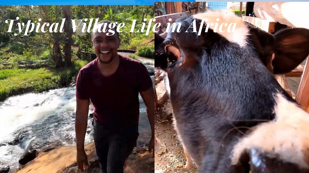My African Village Life - Morning Routine