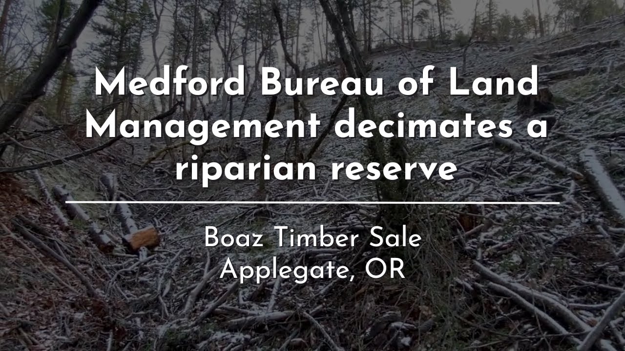 Medford Bureau of Land Management decimates a riparian reserve