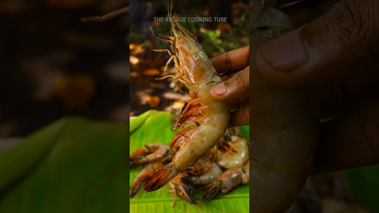 Prawn Fry #shortsfeed